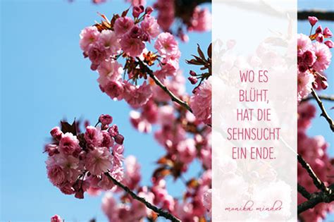 Alles neu macht der Mai